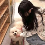 单职业超变版手游下载